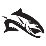 Salmon Trout Fishing